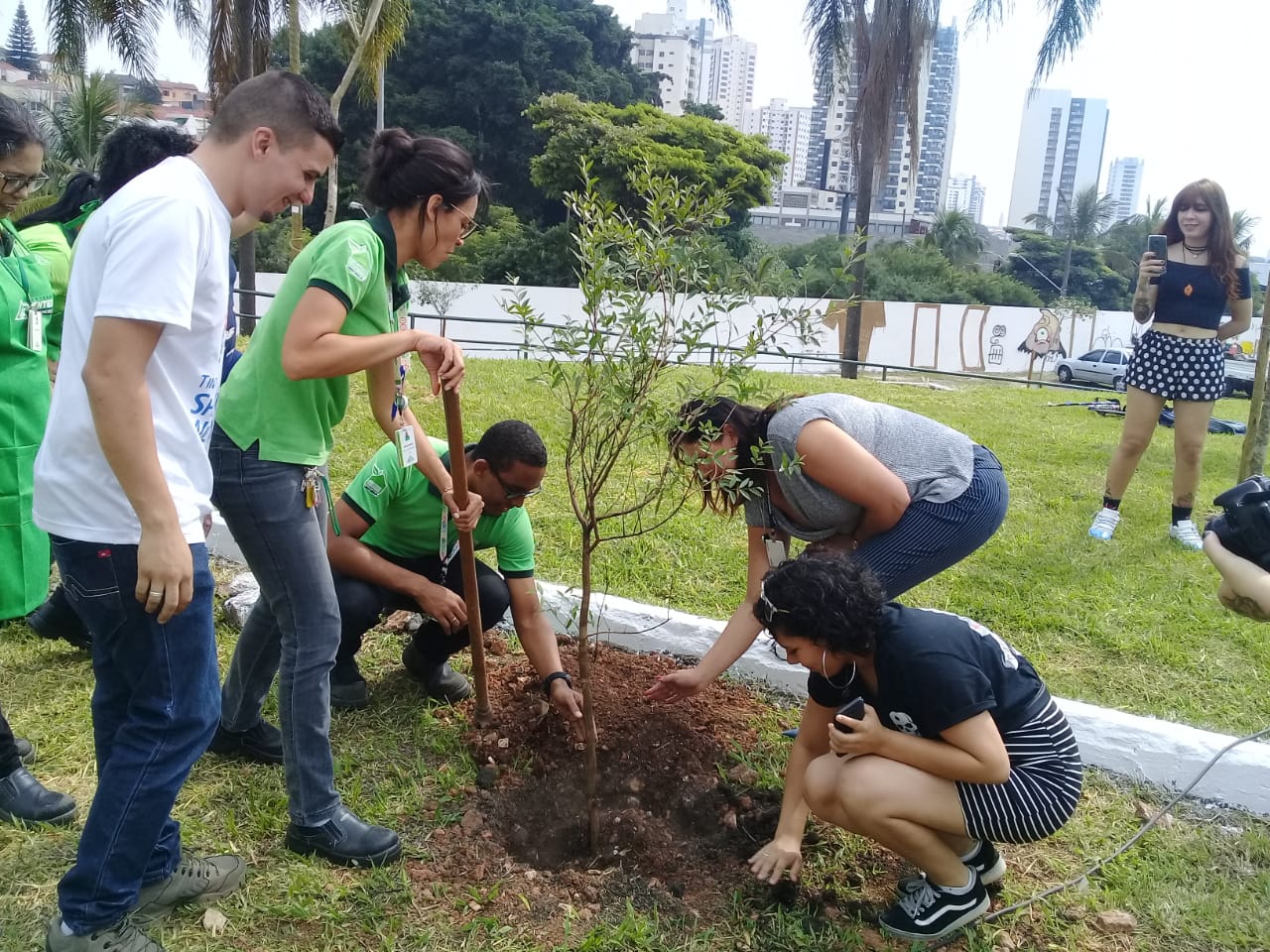 Equipe de empresa local na plantação de mudas
